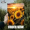 Sunflower | Glossy Metal Frame