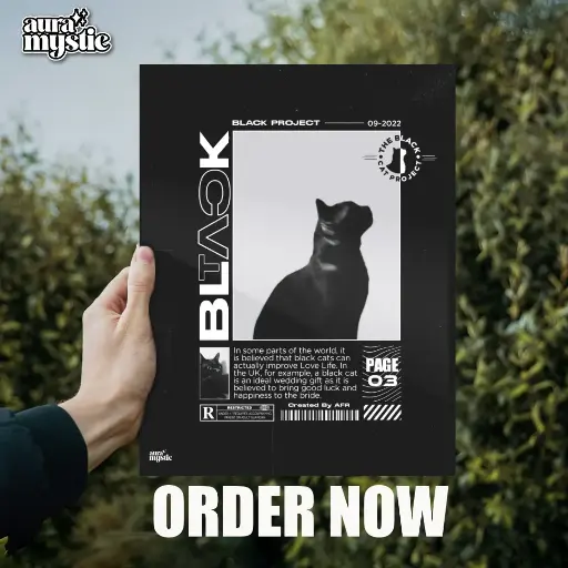 Black Cat Art | Glossy Metal Frame